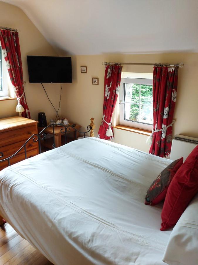 Bryn Sion Farm Villa Dinas Mawddwy Eksteriør billede