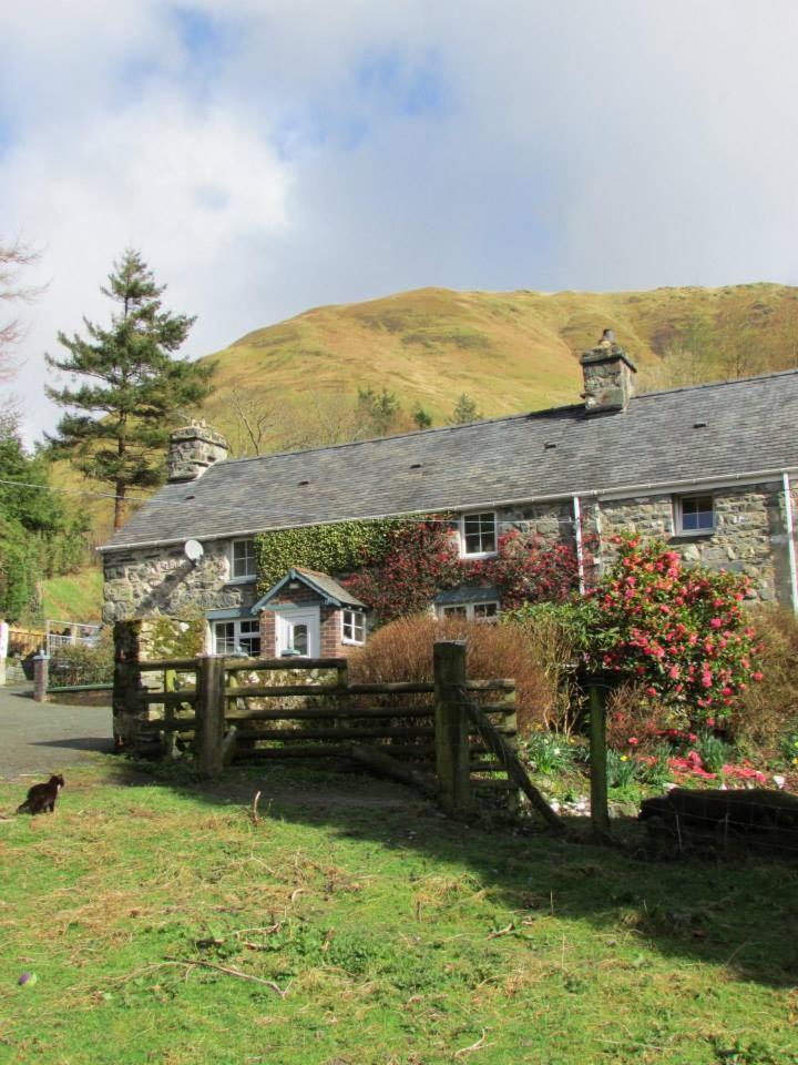Bryn Sion Farm Villa Dinas Mawddwy Eksteriør billede